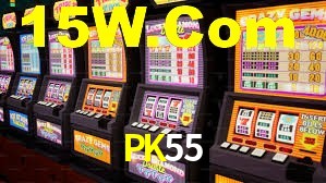 PK55 App Interface