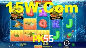 Premium Interface PK55