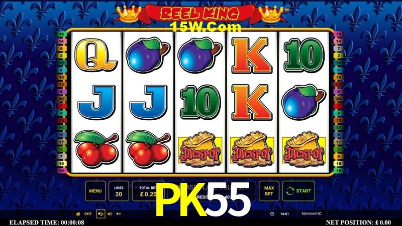 Secure Login PK55